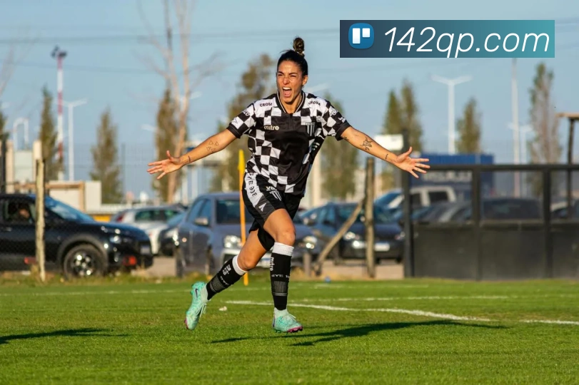 奖项证书